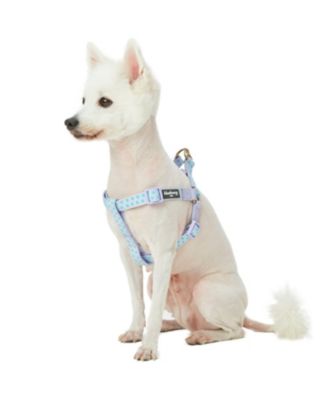 Velvety Polka Dot Dog Step-in Harness with with Bow