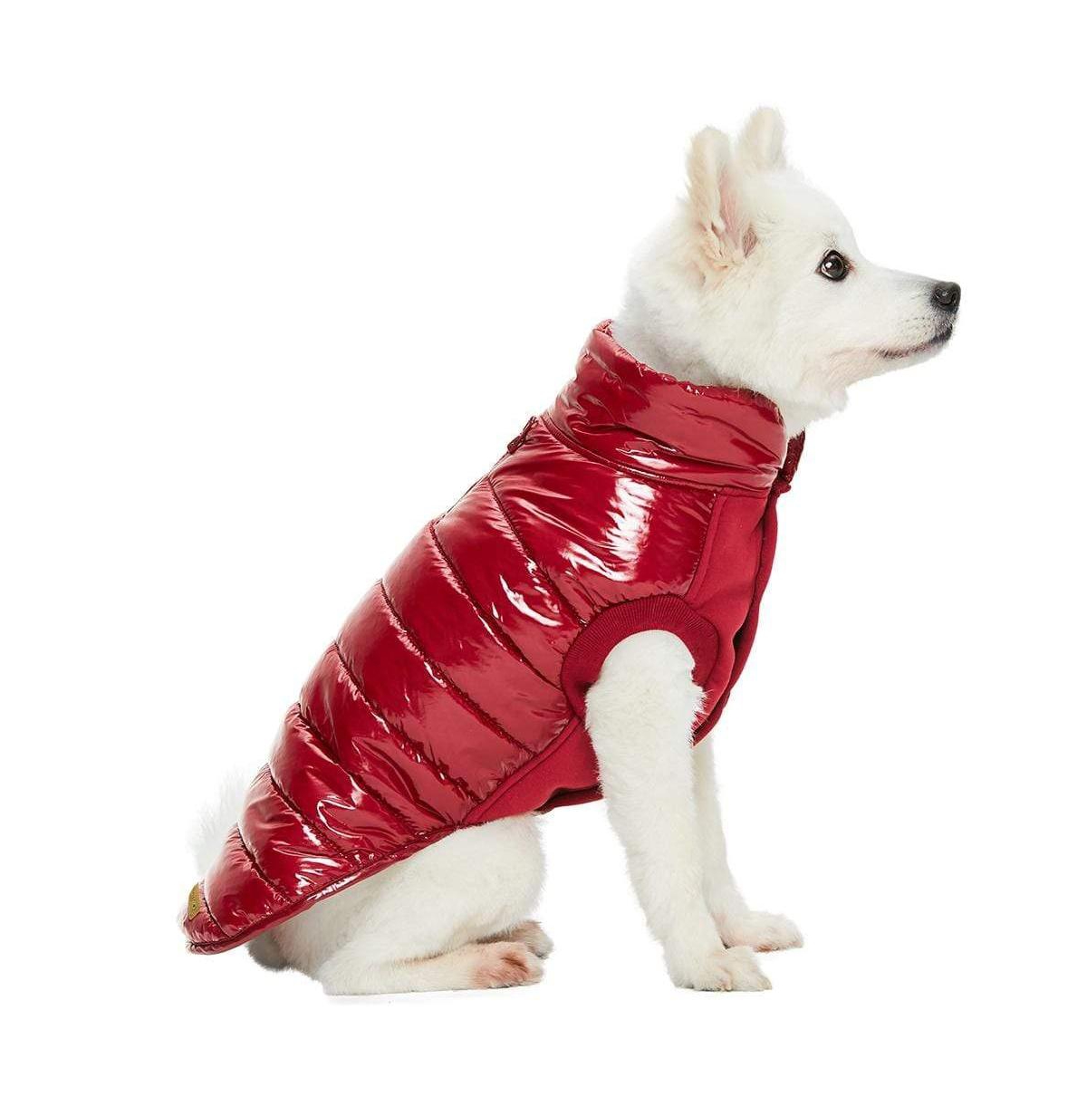 Blueberry Pet GlossPaws Lightweight Quilted Dog Puffer Jacket