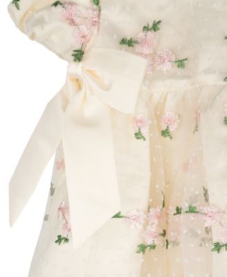 Baby Girls' Embroidered Mesh Social Dress