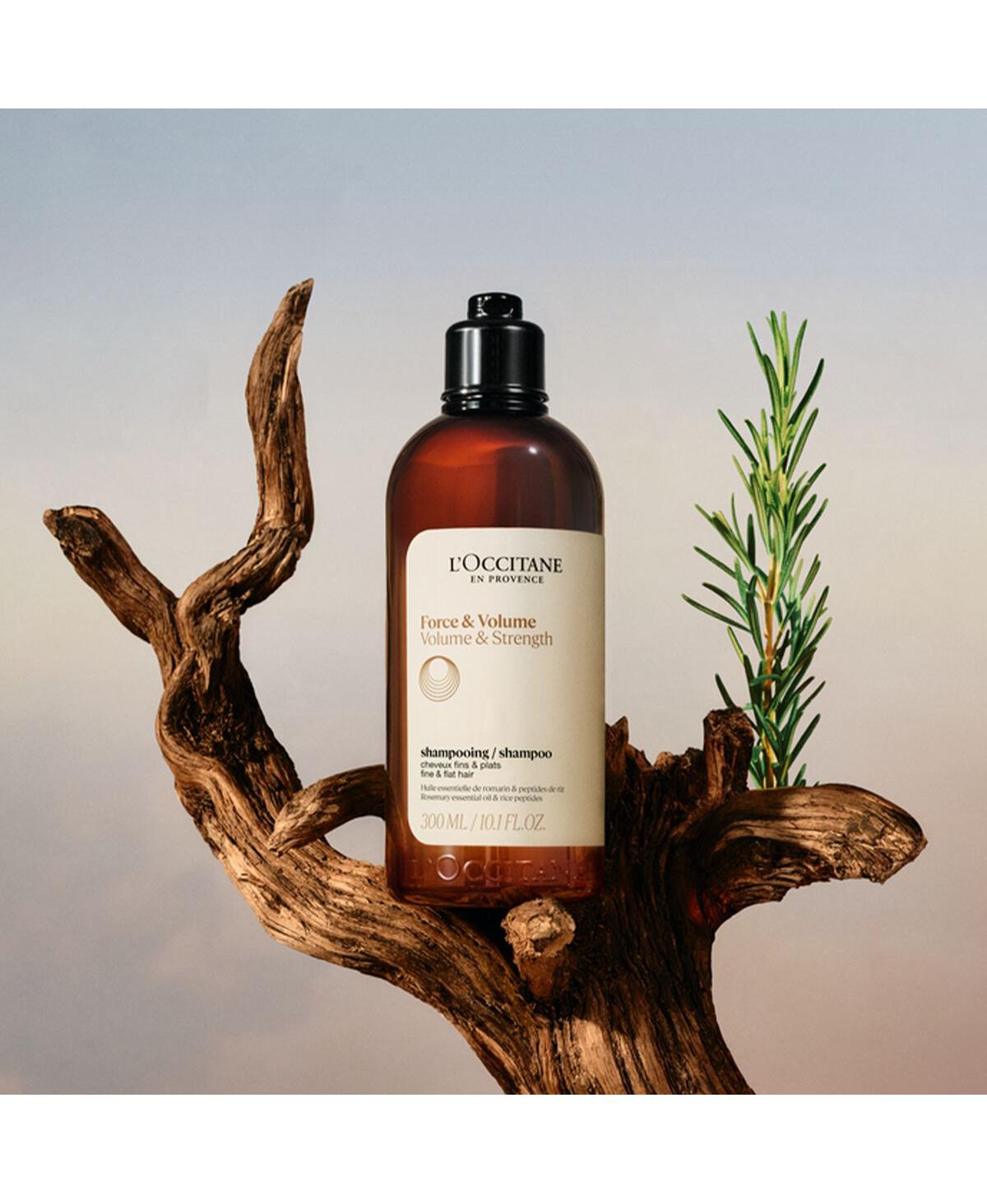 L'Occitane Volume & Strength Shampoo 16.90 fl oz