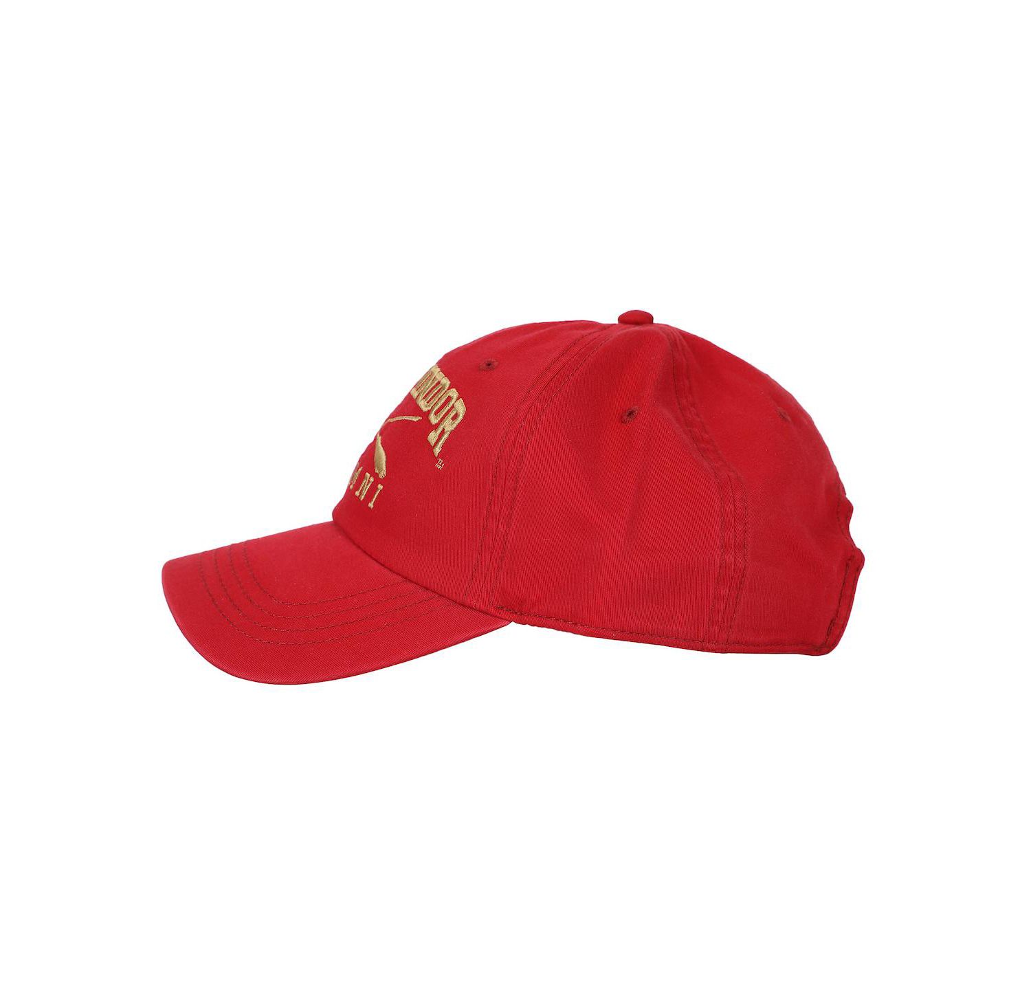 Men's Gryffindor Alumni Adult Unstructured Baseball Cap
