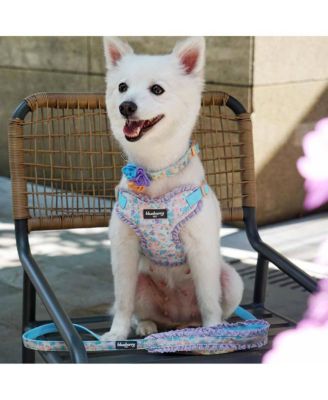 Made Well Floral Print Dog Leash in Light Blue 5 Ft Size Small