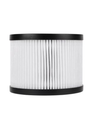 AP252 True HEPA Replacement Filter