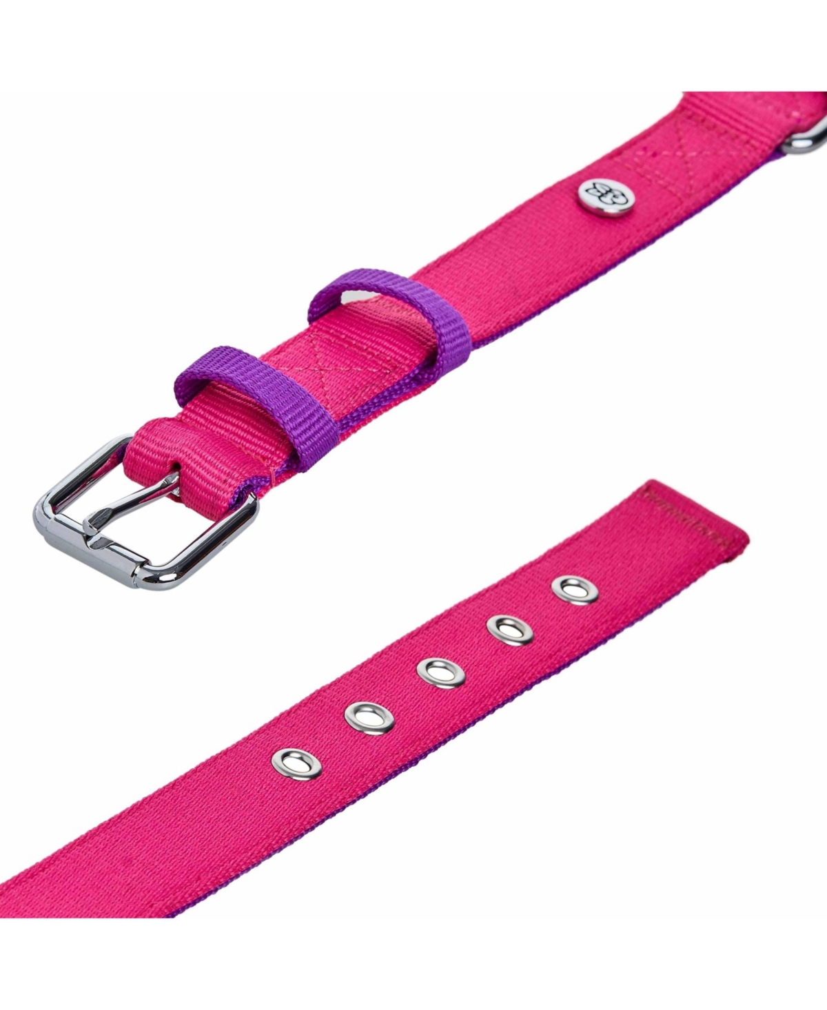 Blueberry Pet Color-Block with Metal Buckle Dog Collar Sky Blue and Dark Green Neck 13"-16.5" Medium