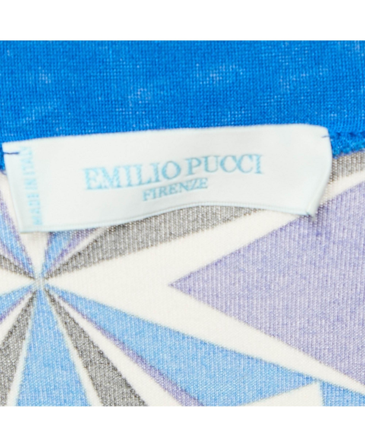 Pre-Owned Emilio Pucci Women's Blue Printed Jersey Round Neck Long Sleeve Top