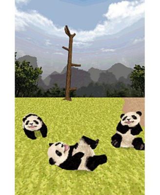 National Geographic Panda - Nintendo DS