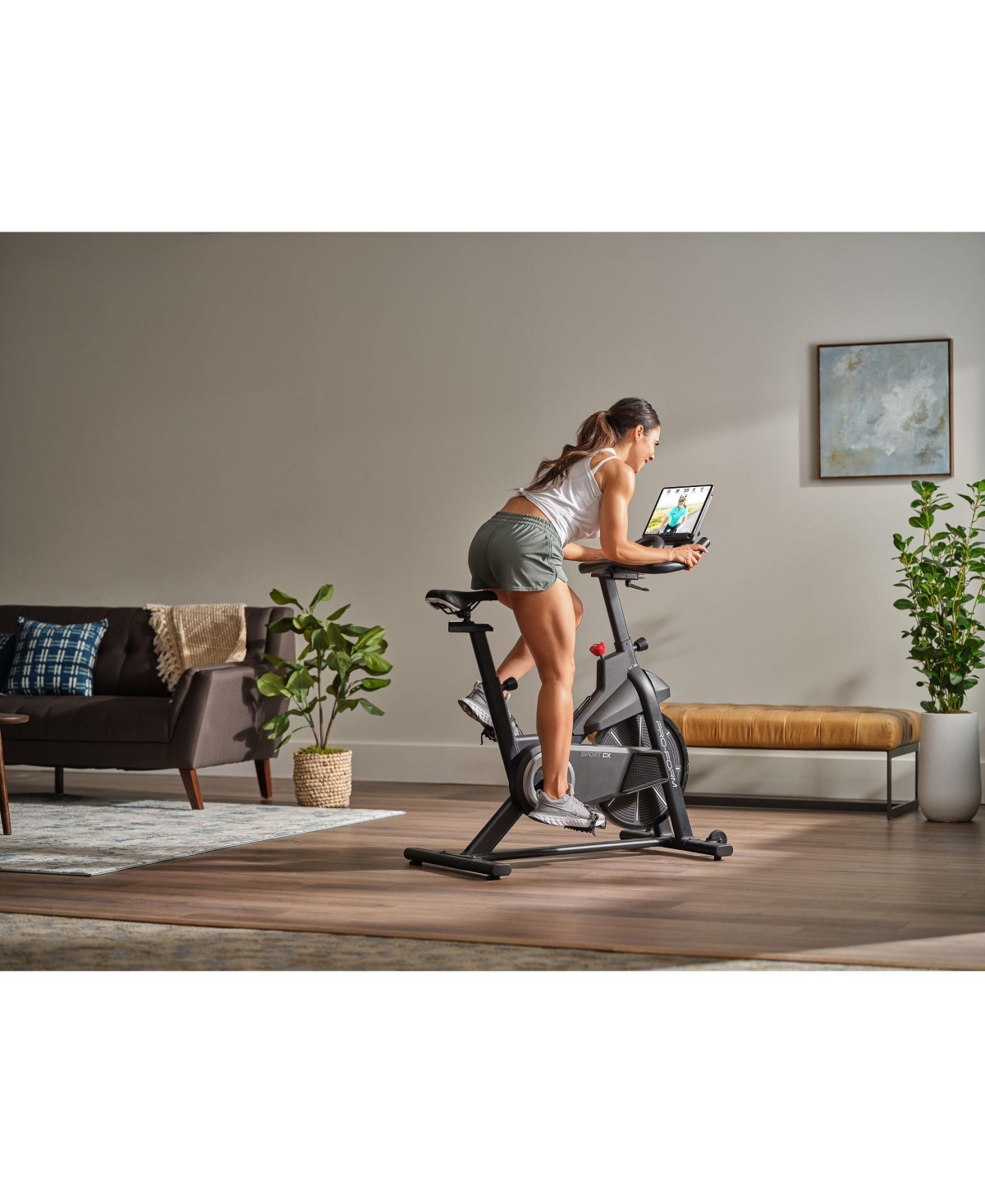 ProForm Sport Cx Bike