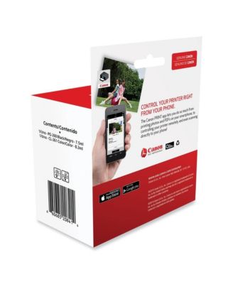 3725C006 (CL-261/PG-260) Ink - Black/Color