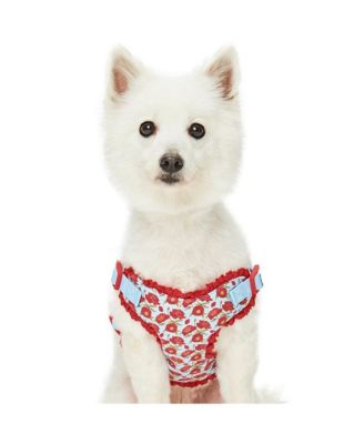 Spring Floral Dog Harness with Chest Protection Panel