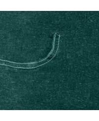 Women's Within Tall Flex-Fit Pull-On Bootcut Gap-Free Stretch Denim Jeans