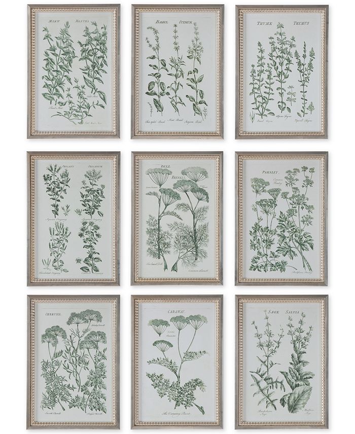 Uttermost 9Pc. Herb Garden Framed Wall Art Macy's