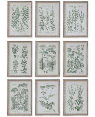 Uttermost 9-Pc. Herb Garden Framed Wall Art - Macy's
