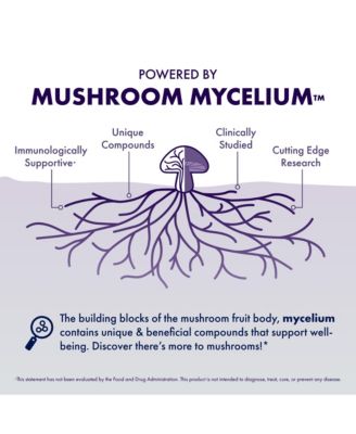 MycoBotanicals Brain Capsules, 120 ct (Pack of Two 60 ct Units)