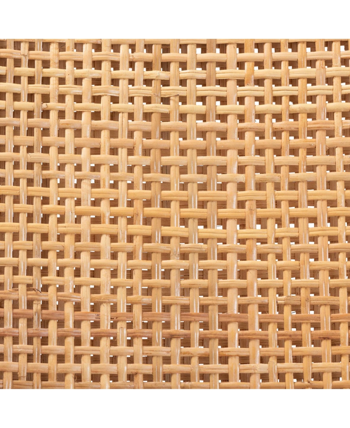 Furniture Lesia 22.4" Rattan Bohemian Dining Chair