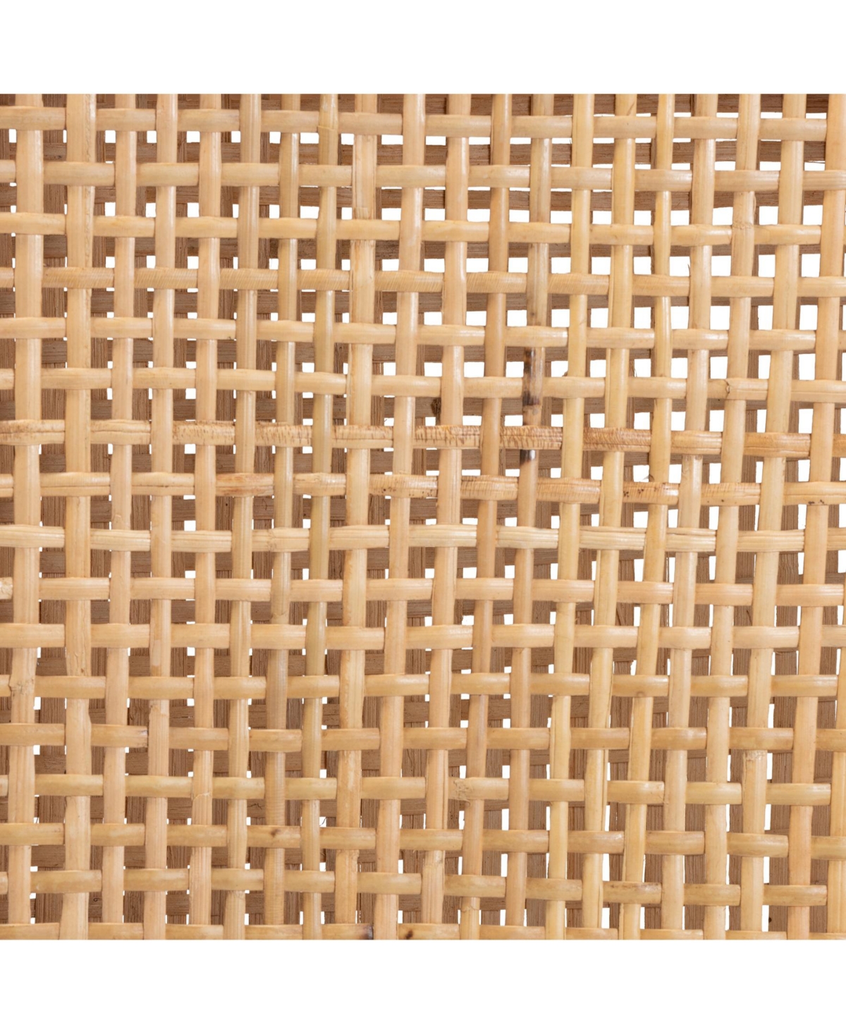 Furniture Arthur 19.5" Rattan Mid-Century Counter Stool