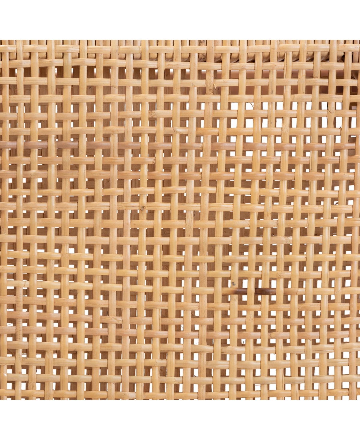 Furniture Caspia 20.25" Rattan Mid-Century Counter Stool