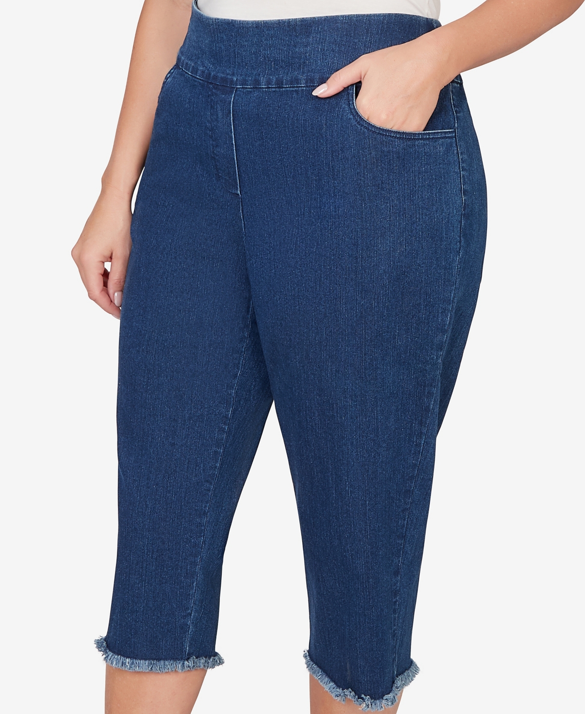 Alfred Dunner Plus Classic Stretch Stripe Clamdigger Capri Pants