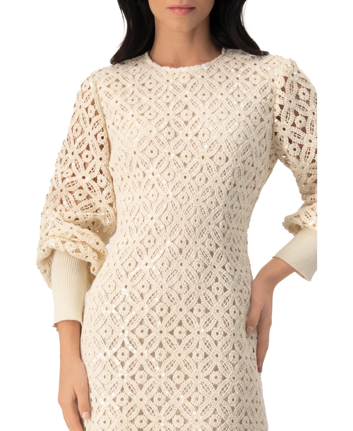 Ivonne Women's Embroidered Crochet Mini Dress with Sequin Detailing