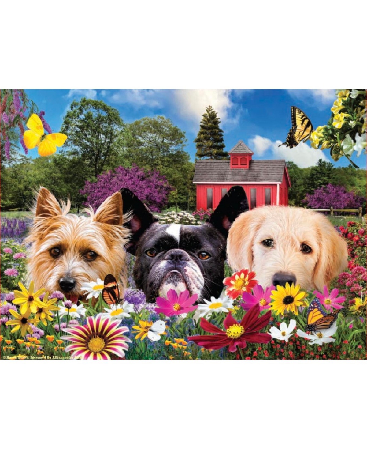 SunsOut Peek-a-Boo 500 piece Jigsaw Puzzle for Adults