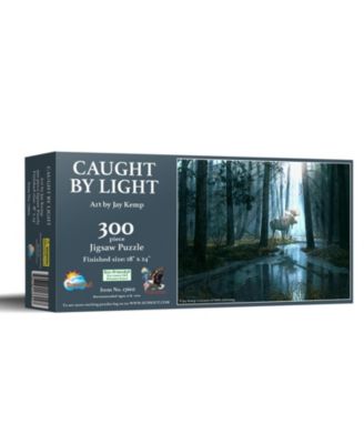 Caught by Light 300 piece Jigsaw Puzzle for Adults
