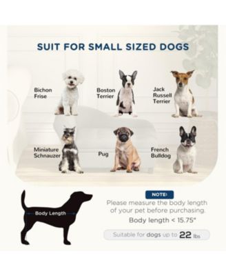 Pet Sofa Couch Bed with Washable Cushion,Storage for Dogs, Cats