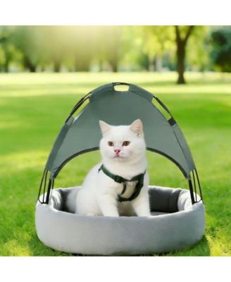 Elevated Outdoor Cat Bed