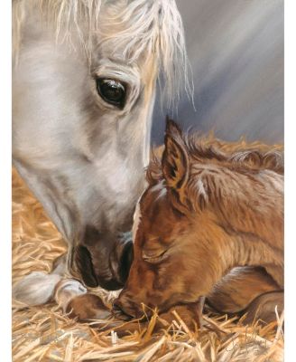 Gift of Nature 500 piece Jigsaw Puzzle for Adults