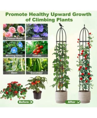 2-Pack Garden Obelisk Trellis for Climbing Plants Rustproof PE-Coated Metal Flower Trellis