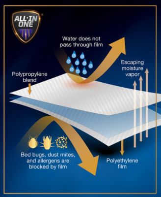 Bed Bug Blocker 2-Pack Pillow Protector, King