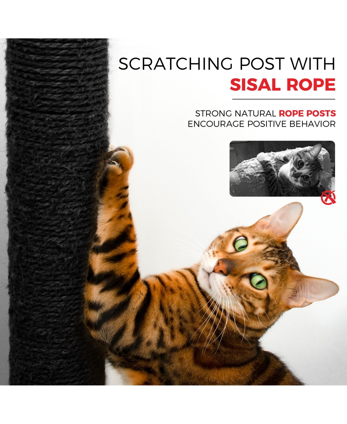 Zeus & Ruta 58" Black Gothic Cat Tree