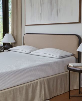 Foam Density Pillow in Firm, Standard