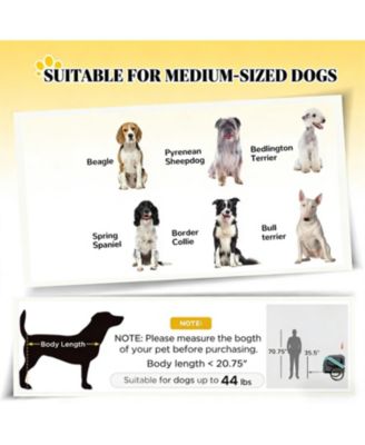 Dog Stroller Bicycle Carrier with 2 Wheels in Green