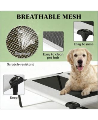 Elevated Portable Dog Cot with Pad in Light Grey