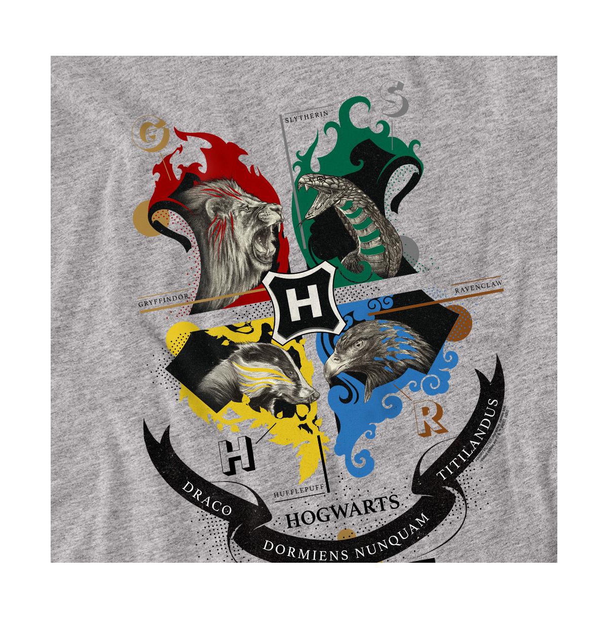 Harry Potter Big & Tall Hogwarts Magicial Mischief Level Up Crest T Shirt