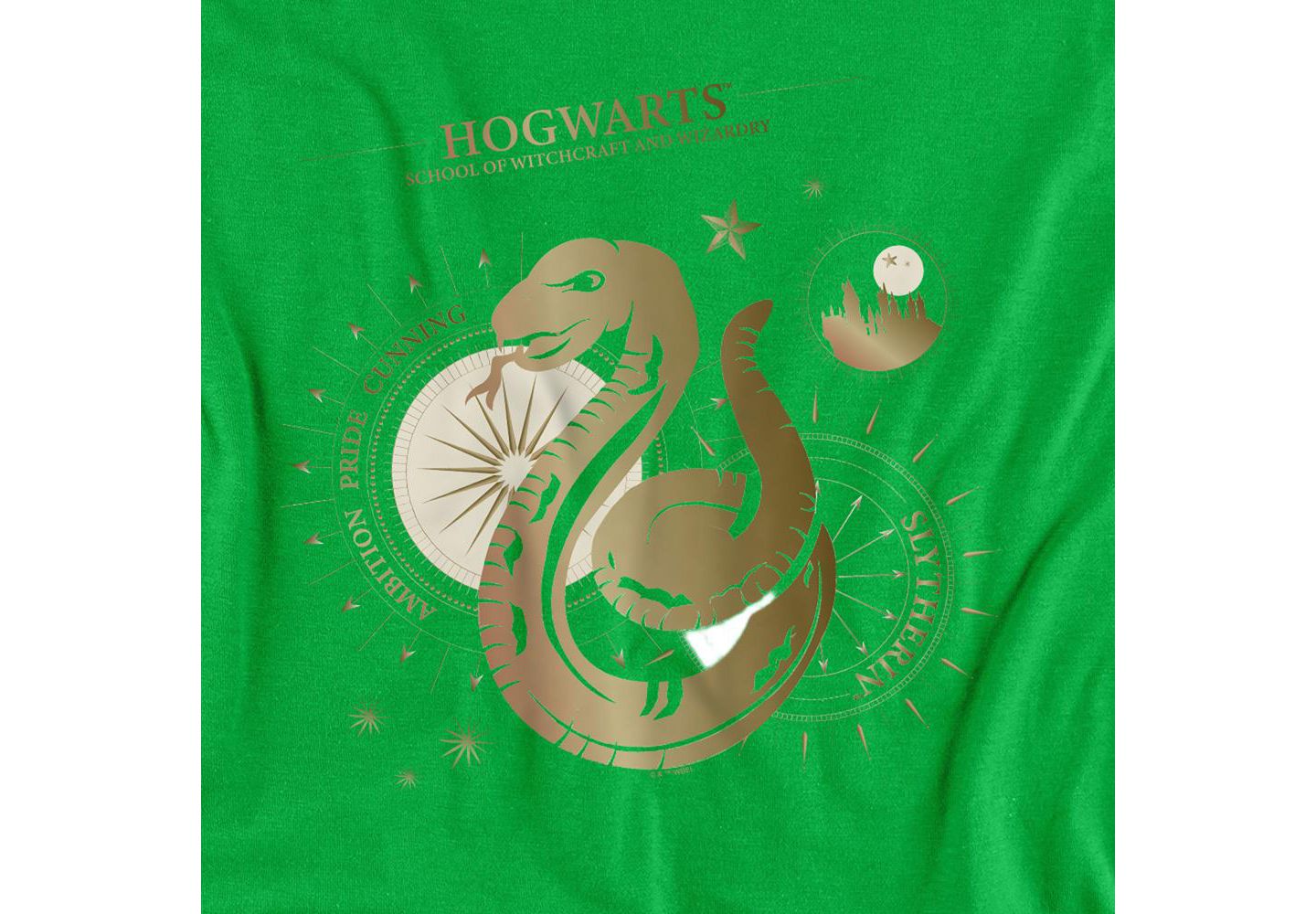 Мужская футболка Harry Potter Ambition, Pride, Cunning, Slytherin, цвет: Зелёный — фото 2