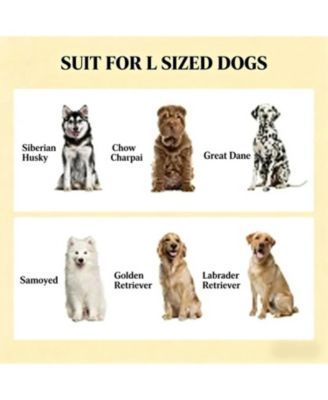 23.5 in. Wide Dog Bowls Elevated Feeding Station with Drawer in Black