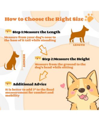 Dog Crate with Flip-Top Feeding Door, Dual-Access in White