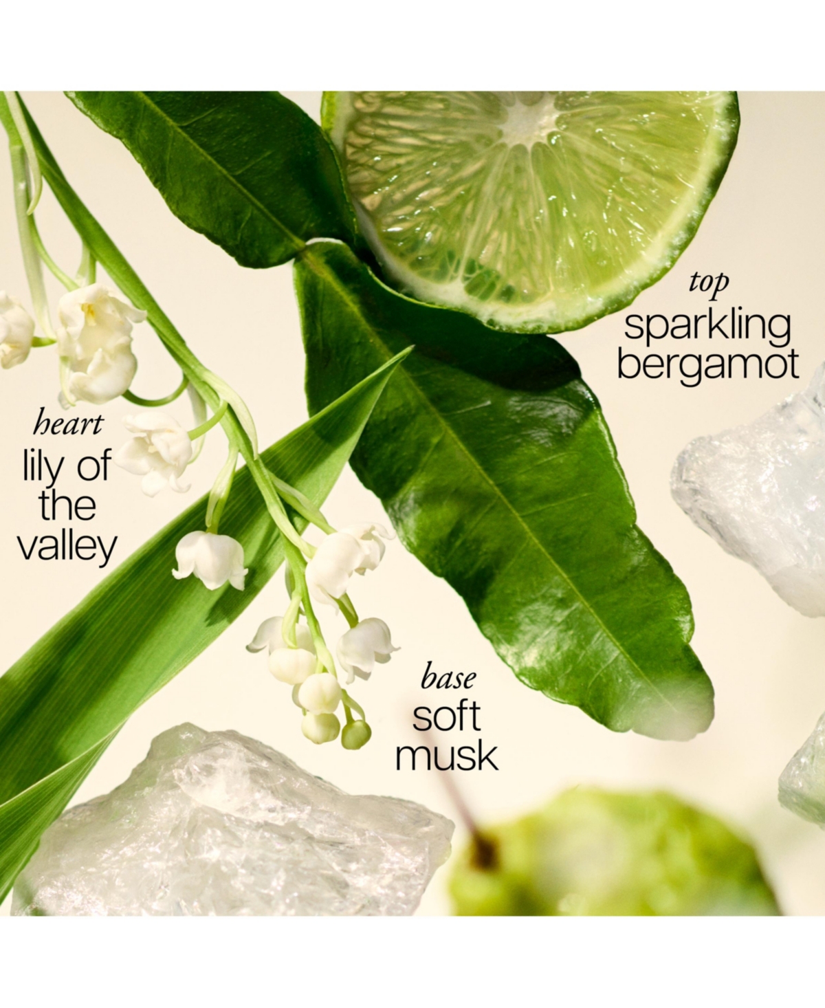 philosophy amazing grace eau de parfum, 2 oz