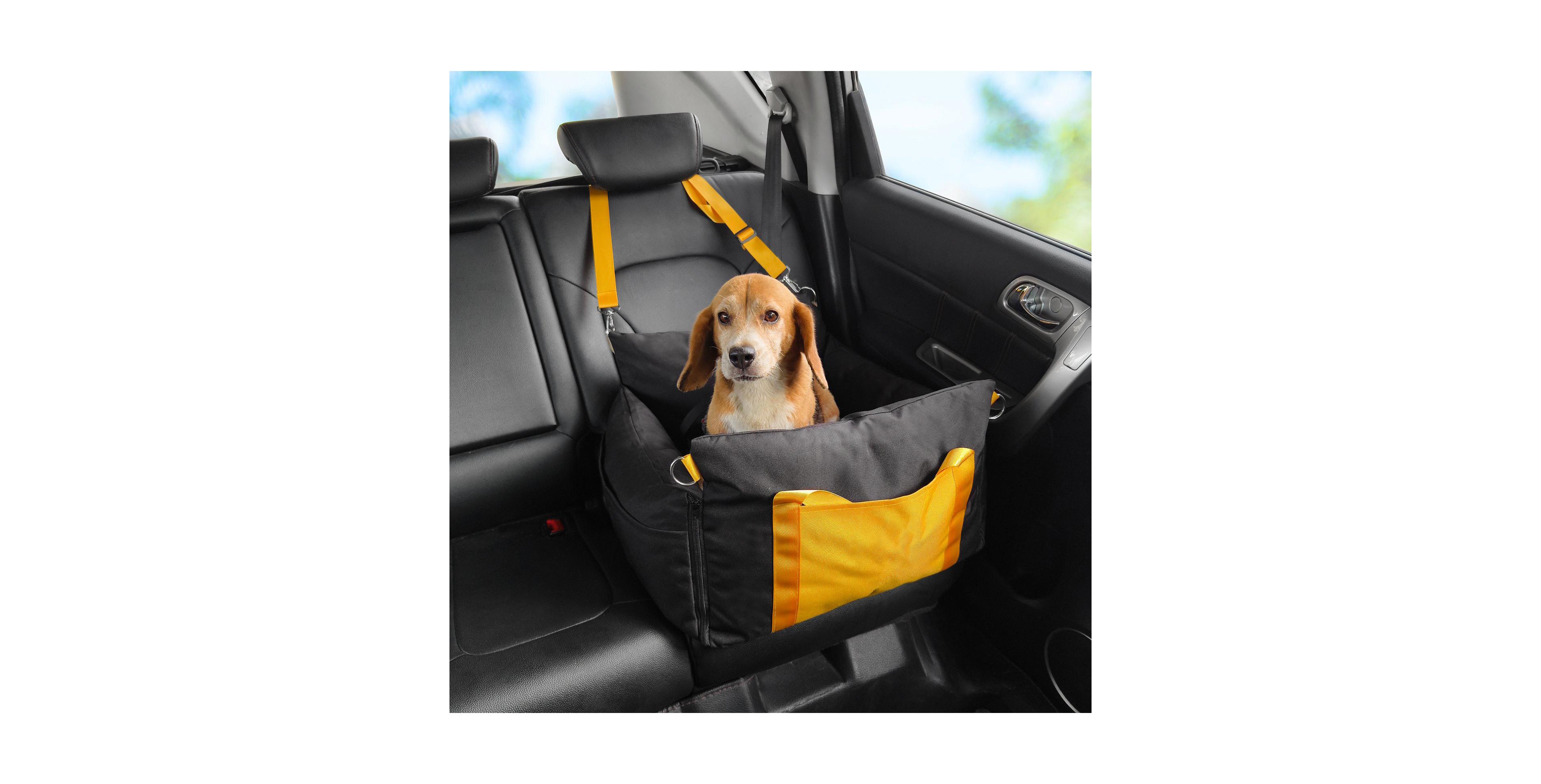 Cozito Waterproof Dog Car Booster Seat Side Handles, Storage Pocket & Safety Leash, Pp Cotton Fill, Small Dog Car Bed up to 25 lb, Black