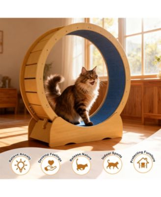 42" Cat Treadmill Wheel with Detachable Carpeted Runway in Yellow