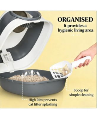 Cat Litter Box with Lid