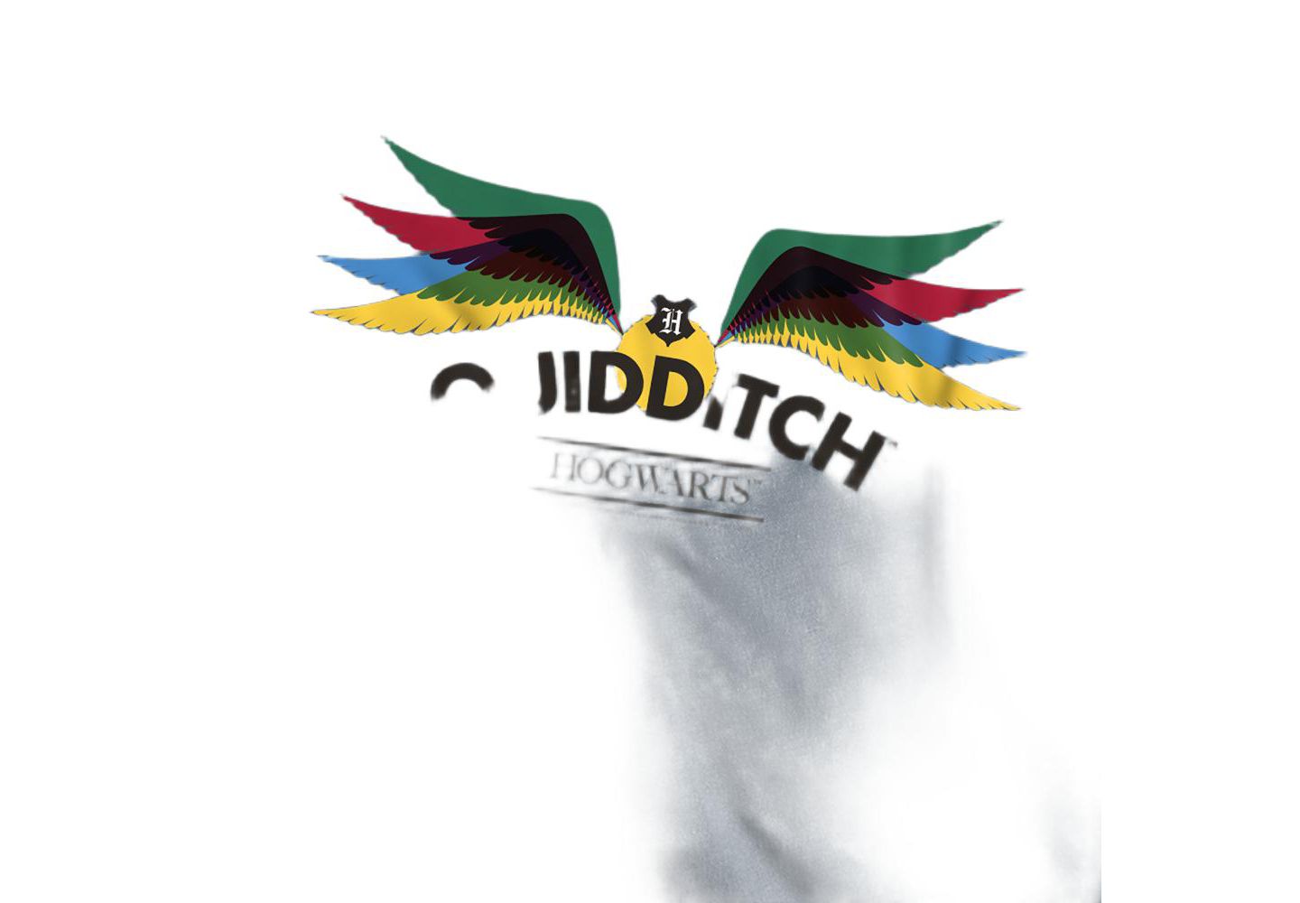Мужская футболка Harry Potter Hogwarts Quidditch, цвет: Сланцевый — фото 2