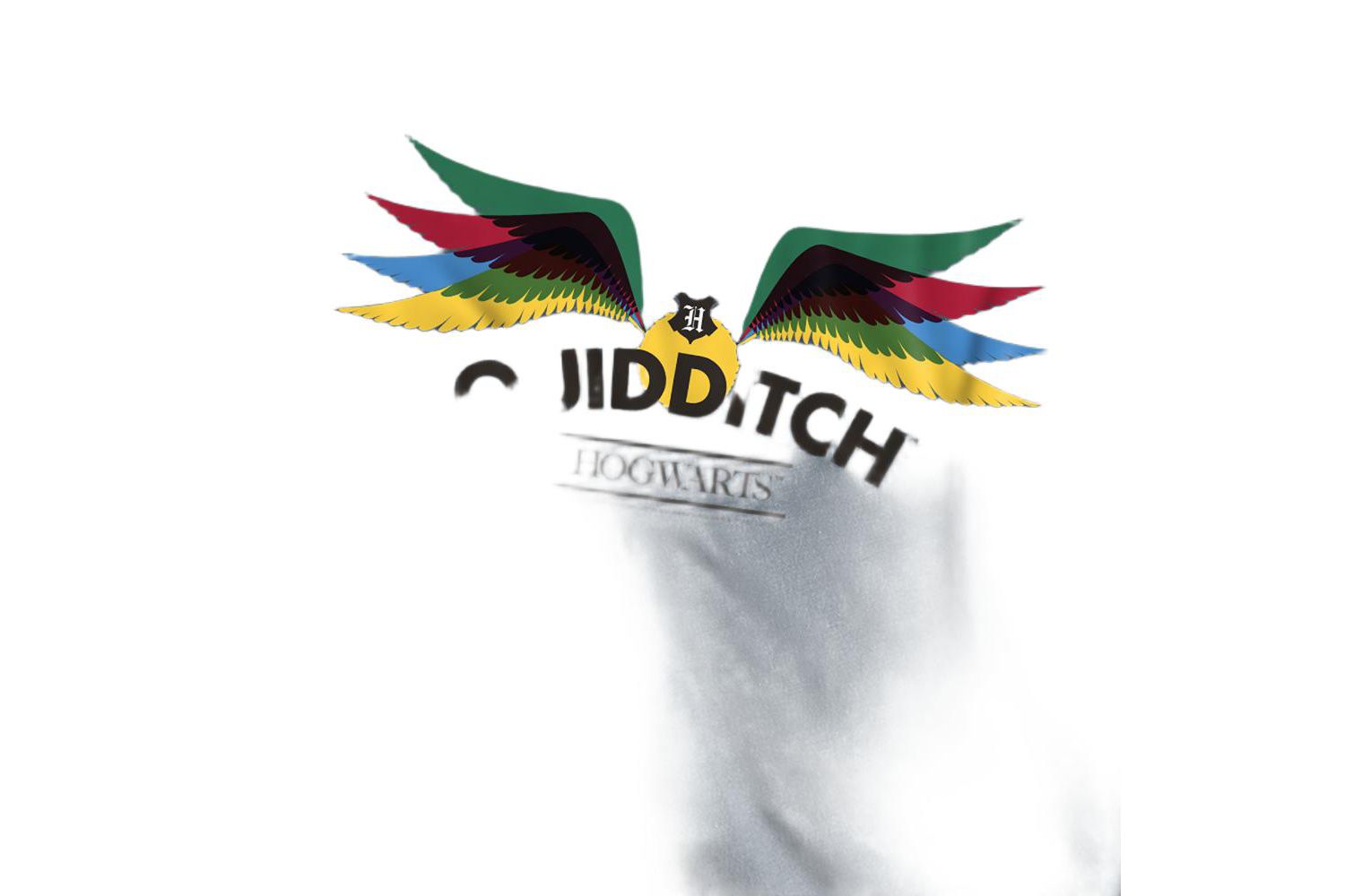 Men's Hogwarts Quidditch T Shirt