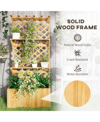 Raised Garden Bed with Trellis and Plant Shelf