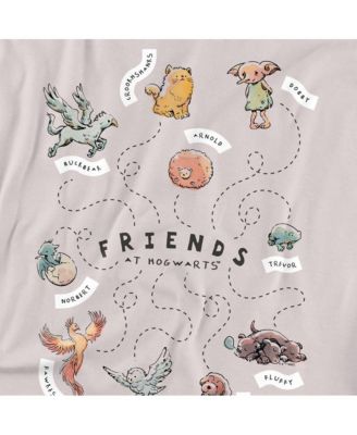 Big & Tall Friends At Hogwarts T Shirt