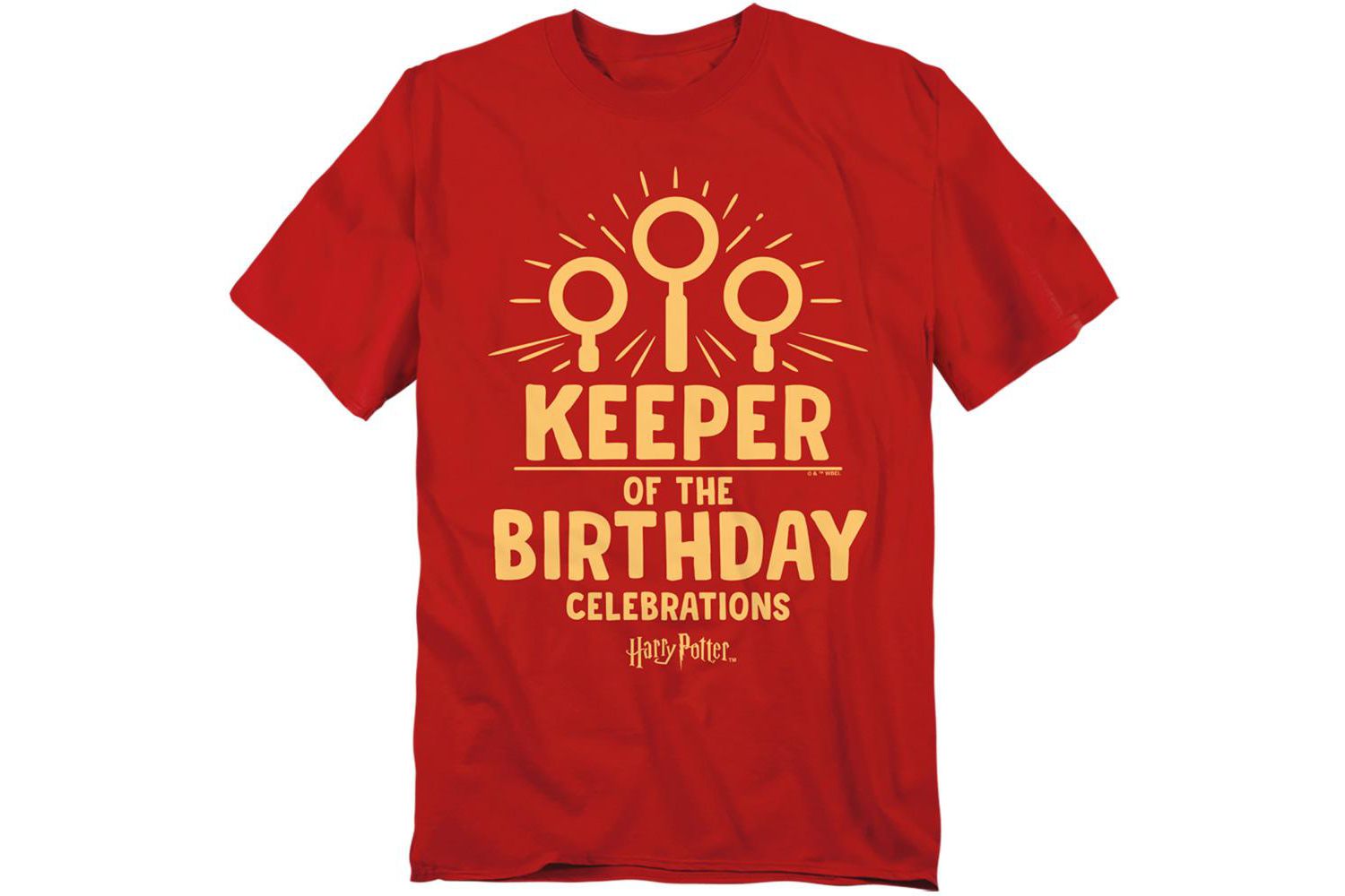 Men's Keeper Birthday Celebrations T Shirt