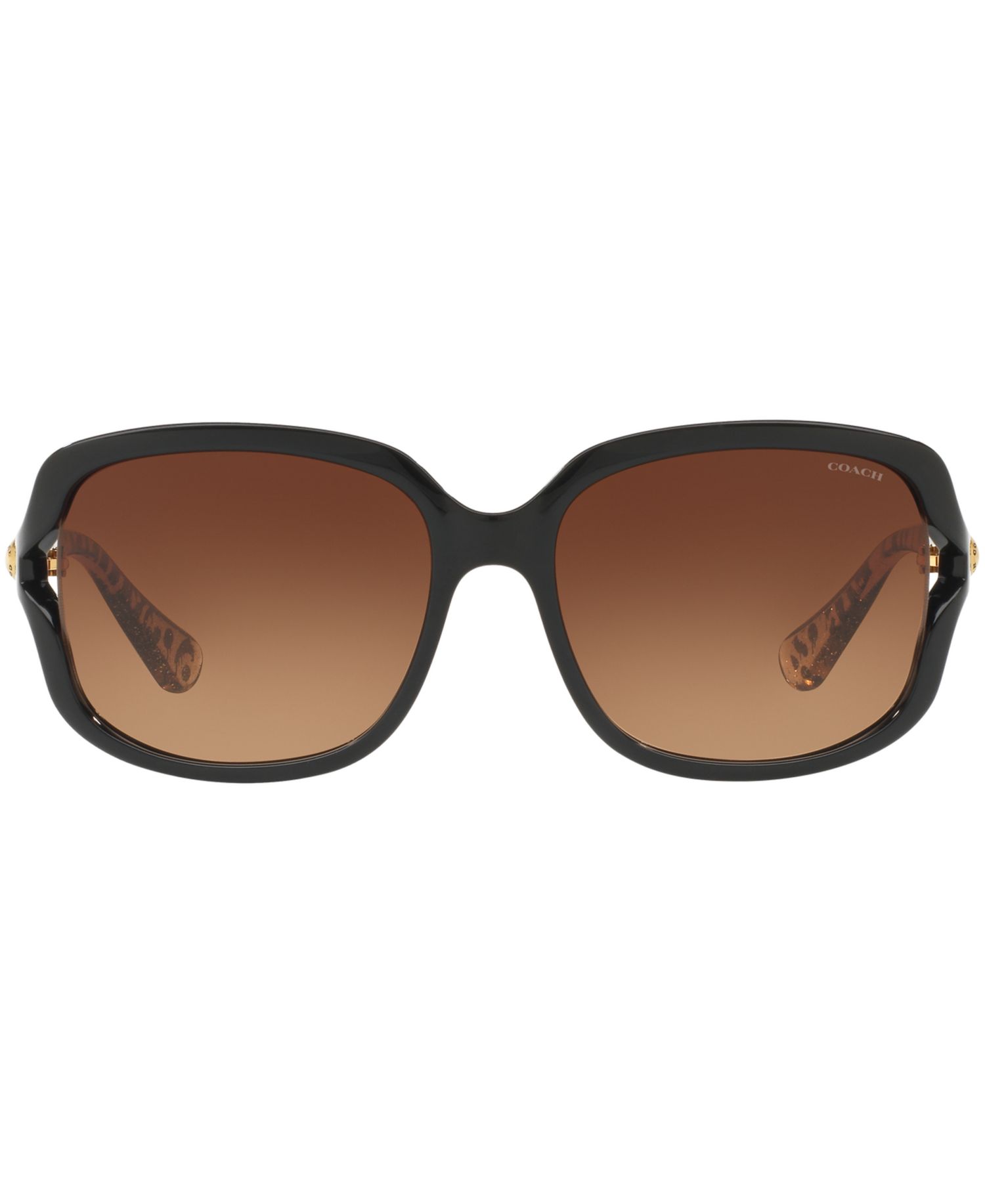 Sunglasses, HC8169
