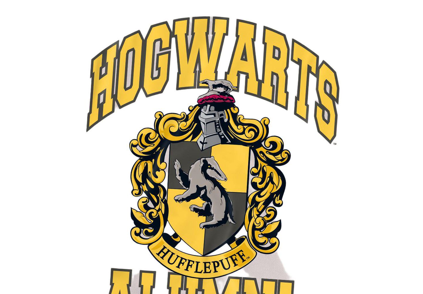 Мужская футболка Harry Potter Hogwarts Hufflepuff Alumni, цвет: Серебряный — фото 3