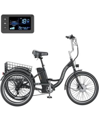 350W Electric Tricycle for Adults