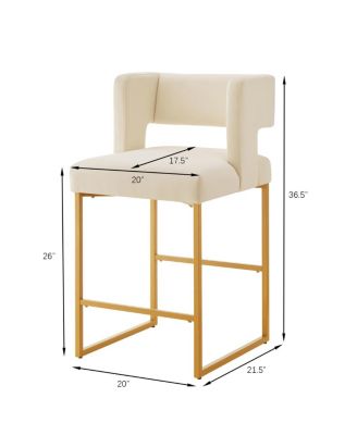  Modern Fashion Counter Height Bar Stools, Set of 2, Cream/Gold